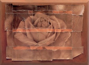 Image description is not available for 2014.026